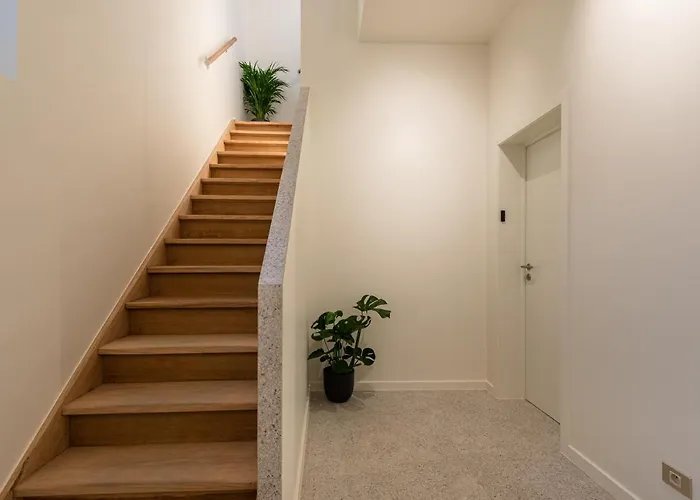 Bed & Breakfast Gepetto's - Beautiful In The Historic Centre Of - Gent